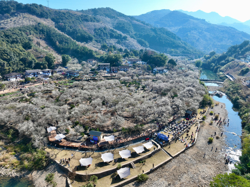 Hoa mận nở đẹp nhất từ cuối tháng 1 đến giữa tháng 2 dương lịch, khi thời tiết chuyển từ mùa đông sang xuân, tạo nên khung cảnh thơ mộng. Trong văn hóa Trung Quốc, hoa mận là biểu tượng của sự kiên cường, bất khuất. Vẻ đẹp của hoa mận trong mùa đông giá lạnh tượng trưng cho sức sống mãnh liệt và ý chí kiên cường. Trong ảnh: Hoa mận khoe sắc tại tỉnh Phúc Kiến, Trung Quốc. (Ảnh: THX/TTXVN)