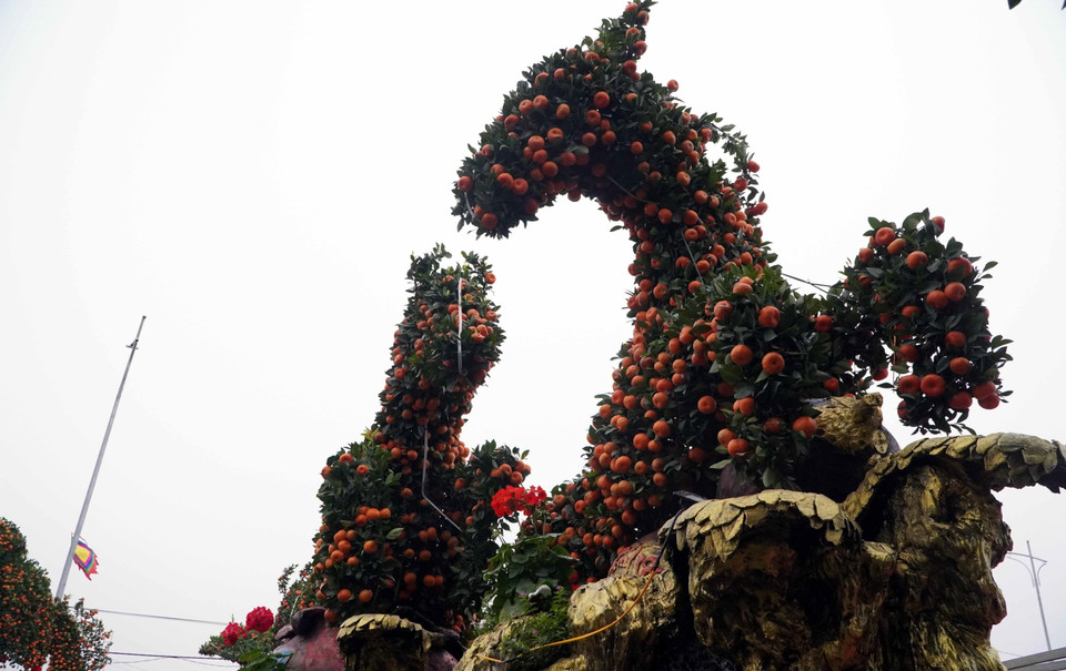 Anh Nguyễn Văn Hưng, chủ nhà vườn Hưng Tâm ở xã Mễ Sở (Hưng Yên) cho biết để chơi được các cây quýt cảnh độc đáo, bề thế như "Mã đáo thành công" với tạo hình 8 chú ngựa đang phi nước đại, khách mua cần đảm bảo điều kiện phải có kinh tế, có không gian trưng bày. (Ảnh: Nguyễn Công Hải/TTXVN)