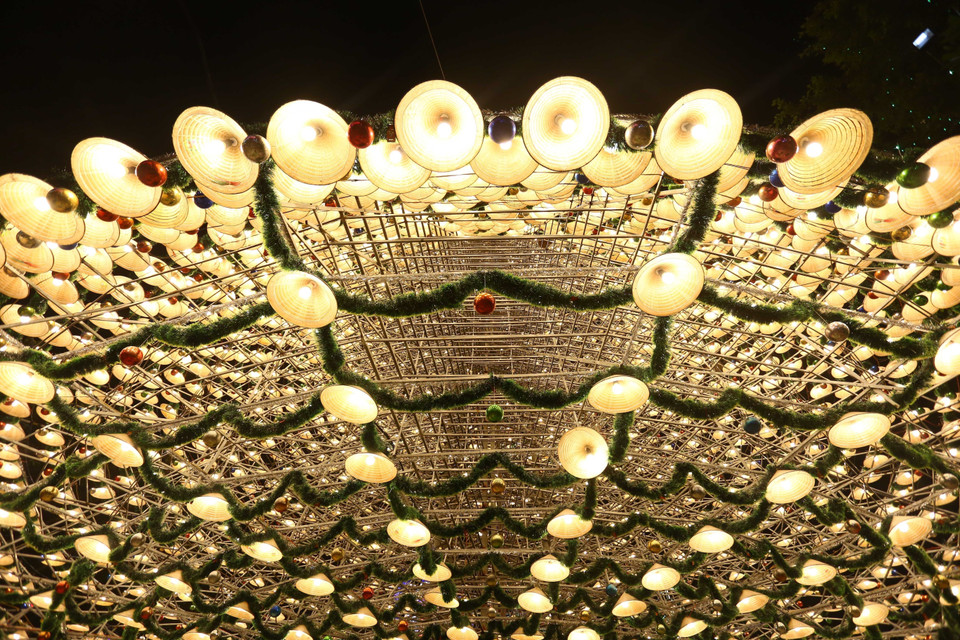 Tầng rộng nhất của cây thông có đường kính khoảng 15 mét. (Ảnh: Lê Xuân /TTXVN)