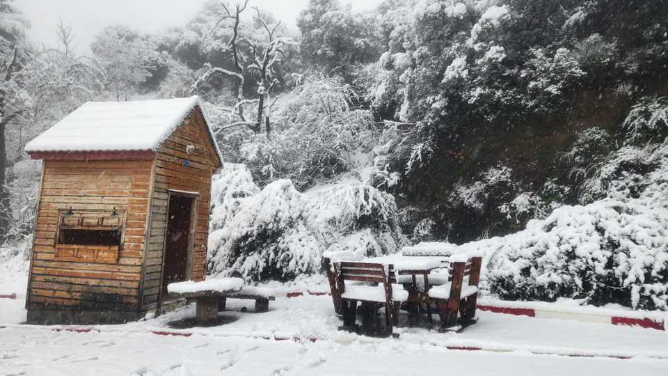 Tuyết rơi dày tạo nên cảnh đẹp như tranh vẽ. (Ảnh: Mạnh Hùng/TTXVN)