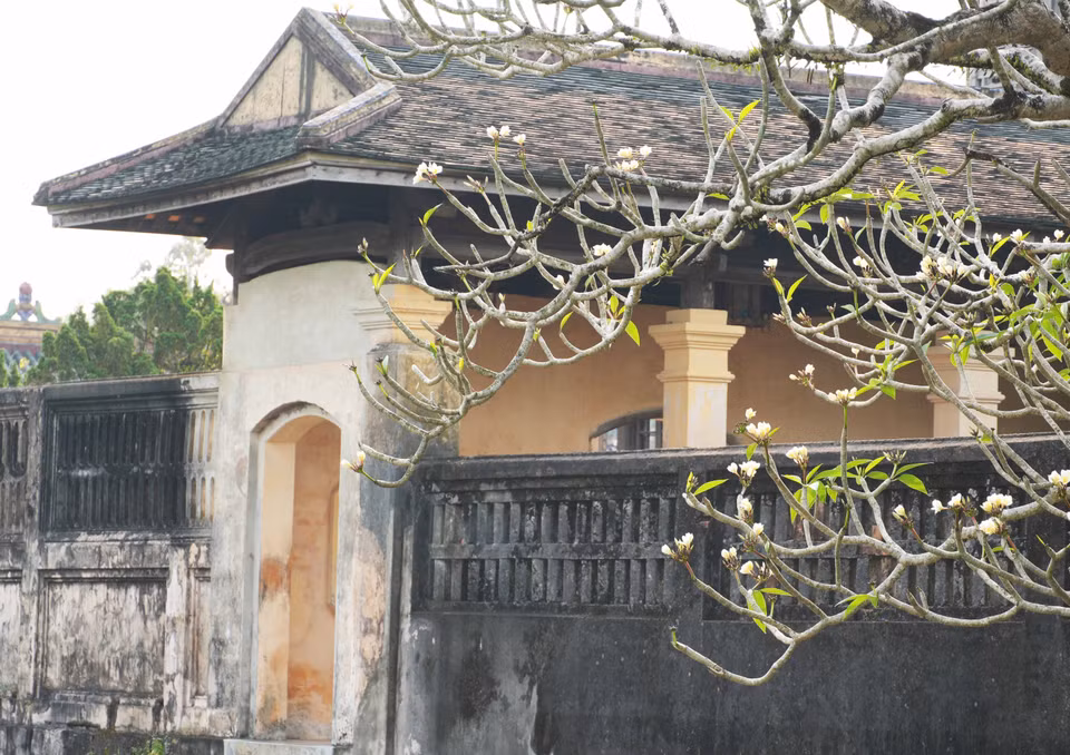 Hoa sứ bung nở trước cửa Thái Bình Lâu - Đại Nội Huế từ cuối tháng Ba và tháng Tư. (Ảnh: Nguyên Lý/TTXVN)