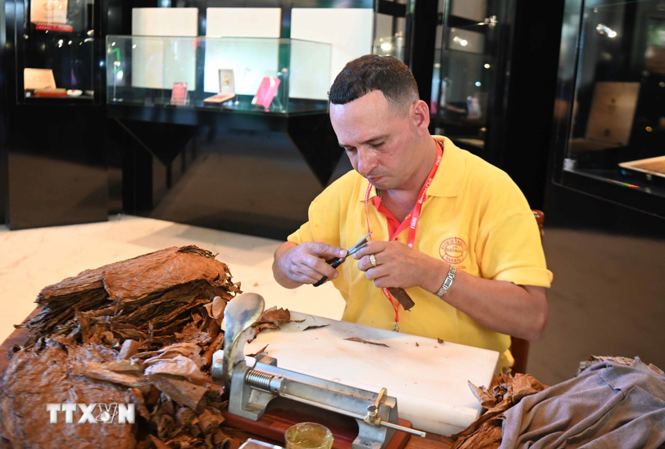 Nghệ nhân Cuba đang hoàn thành công đoạn cuối của điếu cigar. (Ảnh: Việt Hùng/TTXVN )