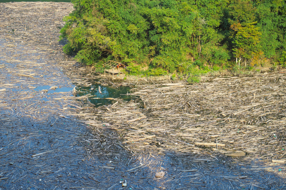 Nhiều địa điểm sông Nậm Nơn vặn mình, xâm thực vào kẻm núi thành vịnh nhỏ cũng biến thành bãi rác khổng lồ, dòng chảy bất động do bị ken cứng bởi rác, củi, thân gỗ, cành cây. (Ảnh: Xuân Tiến/TTXVN)