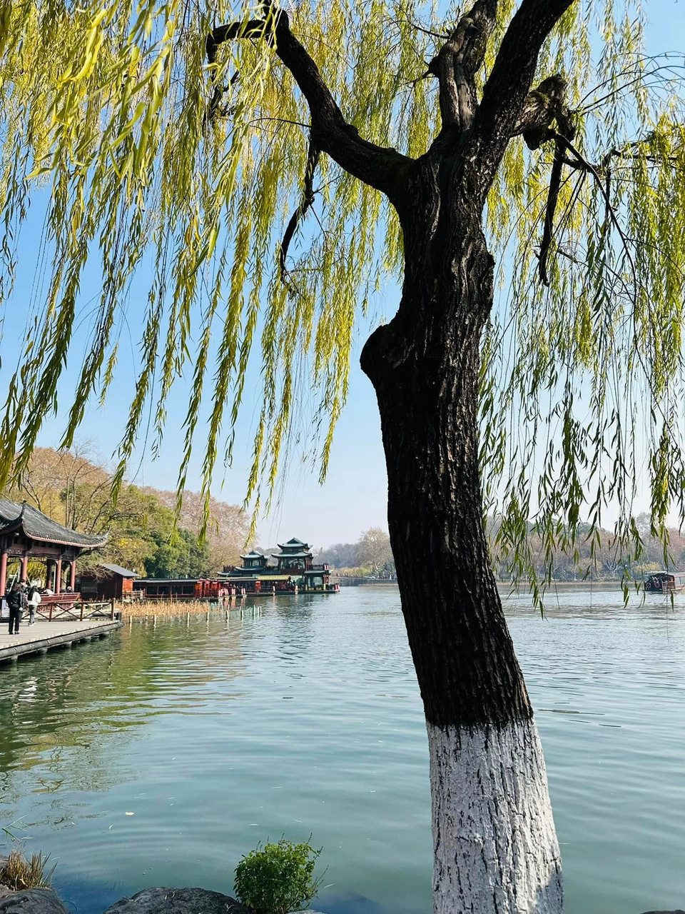 Liễu lãng văn oanh là 1 trong 10 thắng cảnh Tây Hồ của Trung Quốc, có nhiều cây liễu xanh mát tỏa bóng mát ven hồ.(Ảnh: Anh Quang/Vietnam+)