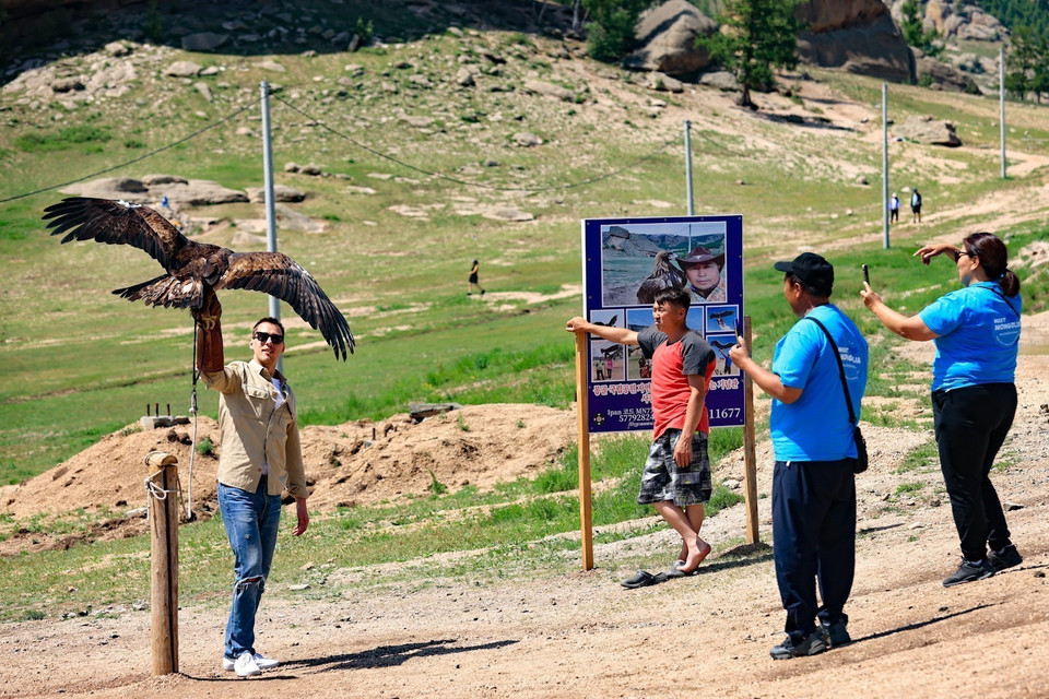 Du lịch Mông Cổ thích hợp nhất vào mùa hè rực rỡ từ tháng 6 đến tháng 8, bởi lẽ đây là thời điểm Mông Cổ tràn ngập sắc xanh của những thảo nguyên, mang theo đó là hương thơm của những cánh đồng hoa tỏa ngát. (Ảnh: Thanh Tùng/TTXVN)