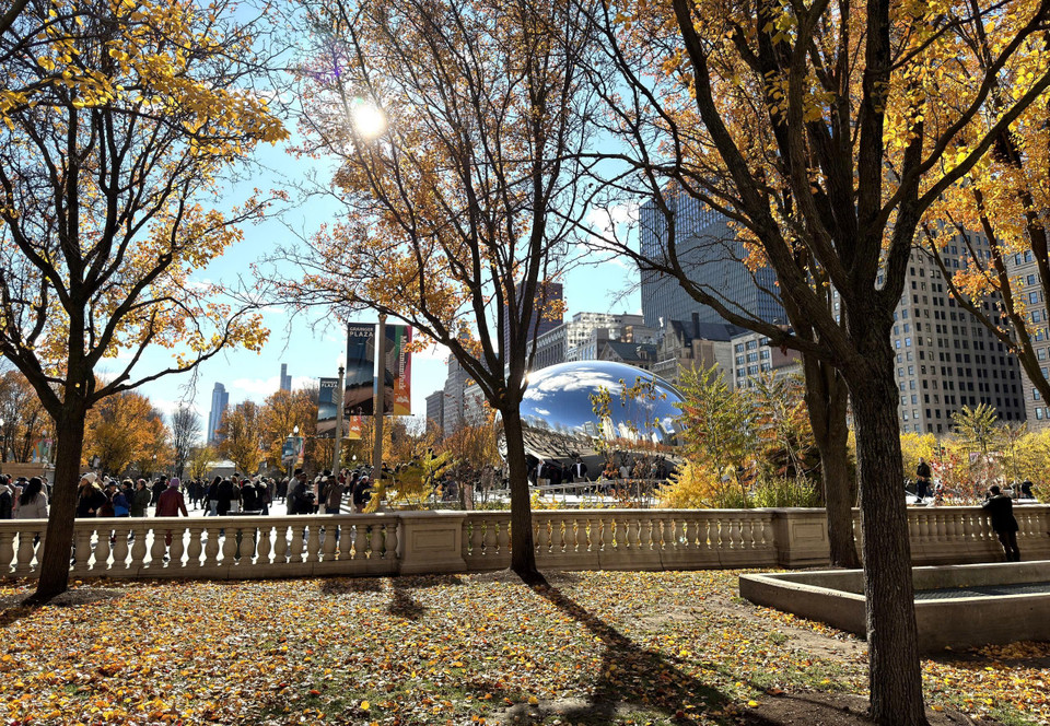 Khung cảnh ánh nắng xuyên qua tán lá vàng làm nổi bật “The Bean” giữa Millennium Park. (Ảnh: Ngọc Quang/ TTXVN)