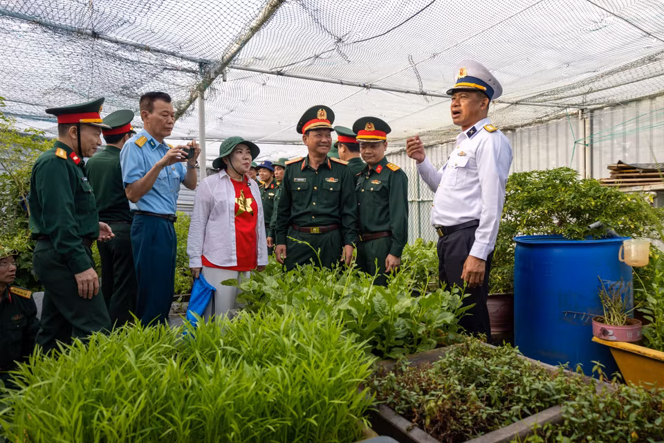 Vườn rau xanh của các chiến sỹ trên nhà giàn DK I tạo ấn tượng với các đại biểu. (Ảnh: Xuân Quý TTXVN)