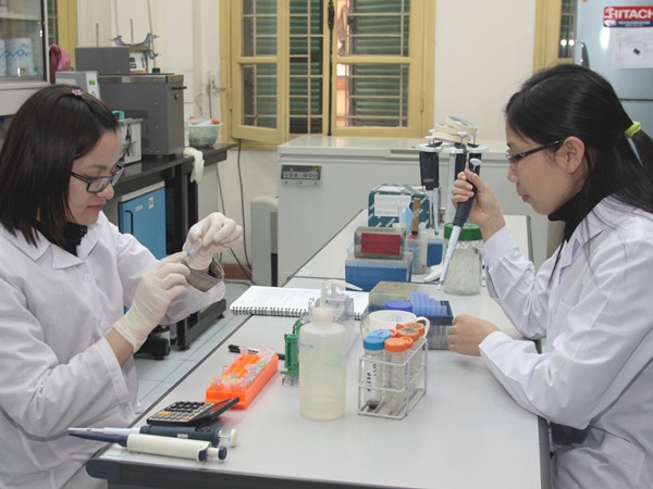 (Ảnh minh họa: TTXVN) Giải thưởng trị giá 50.000 USD cho các công trình nghiên cứu xuất sắc ảnh 1