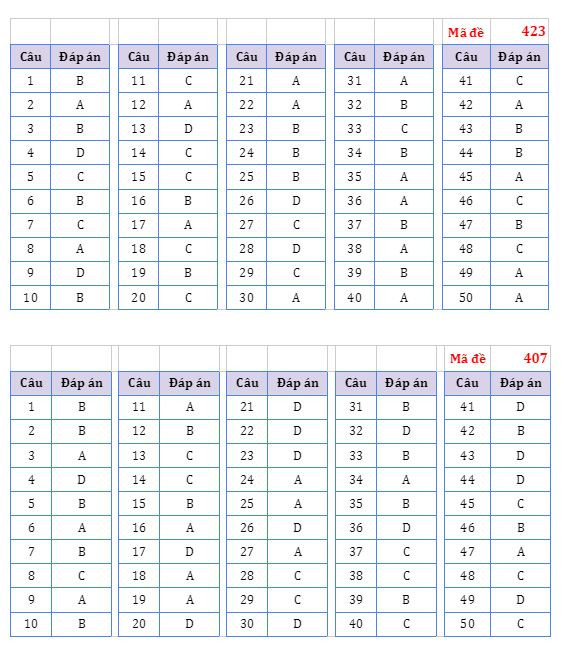 Gợi ý đáp án đề thi môn Ngoại ngữ Kỳ thi Tốt nghiệp THPT ảnh 3