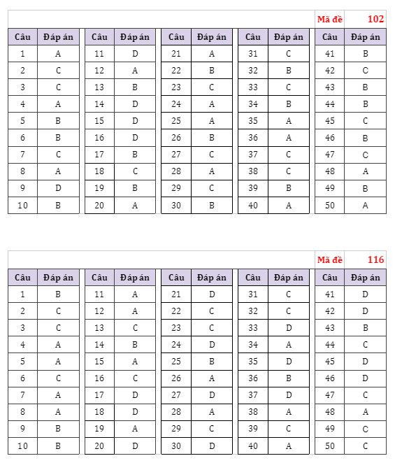 Gợi ý đáp án đề thi môn Toán Kỳ thi Tốt nghiệp Trung học phổ thông ảnh 3