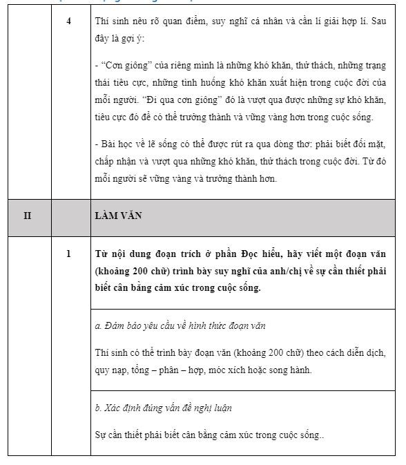 Gợi ý đáp án đề thi môn Ngữ văn kỳ thi tốt nghiệp THPT ảnh 3