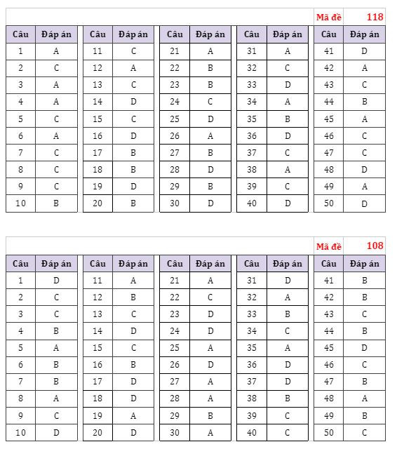 Gợi ý đáp án đề thi môn Toán Kỳ thi Tốt nghiệp Trung học phổ thông ảnh 4
