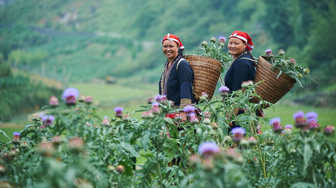 Cùng phụ nữ dân tộc thiểu số phát triển kinh tế, bình đẳng giới ảnh 1