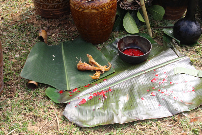 Mừng lúa mới: Lễ hội hoành tráng nhất của người Bana ảnh 5