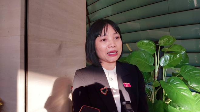 “Bộ GD-ĐT nên biên soạn một bộ SGK, nhưng không phải bây giờ" ảnh 1