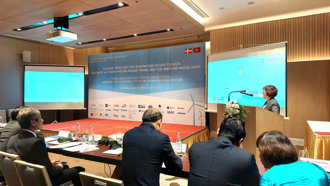 Việt Nam và Đan Mạch ký kết hợp tác phát triển điện gió ngoài khơi ảnh 3