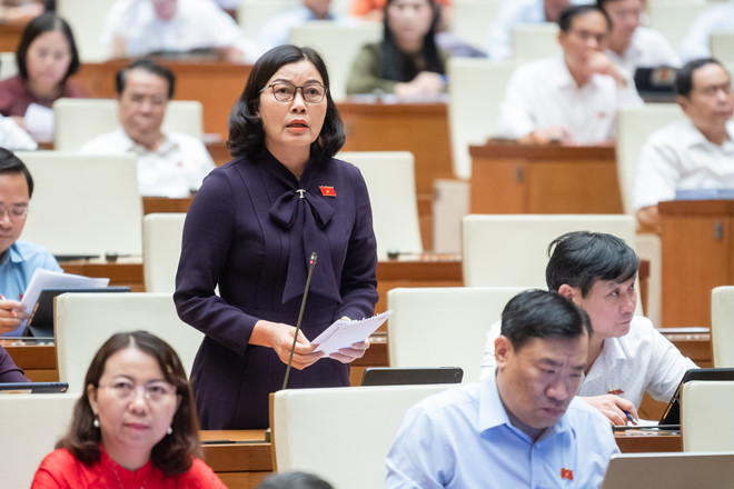 Hai phương án về sử quyền dụng đất của người Việt định cư ở nước ngoài ảnh 3