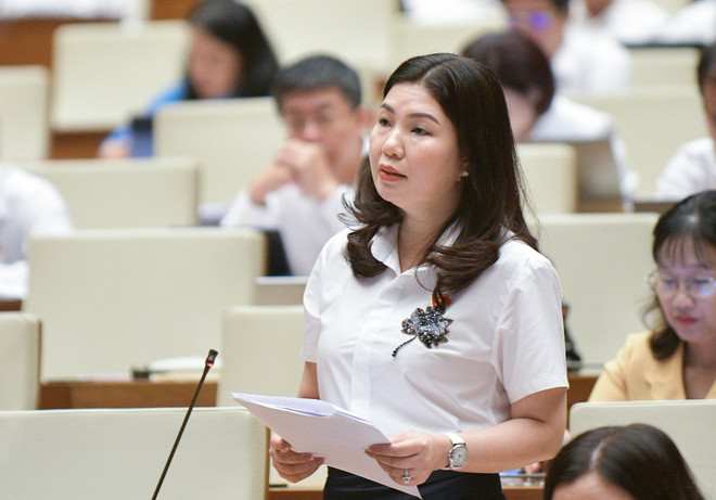 Hai phương án về sử quyền dụng đất của người Việt định cư ở nước ngoài ảnh 2