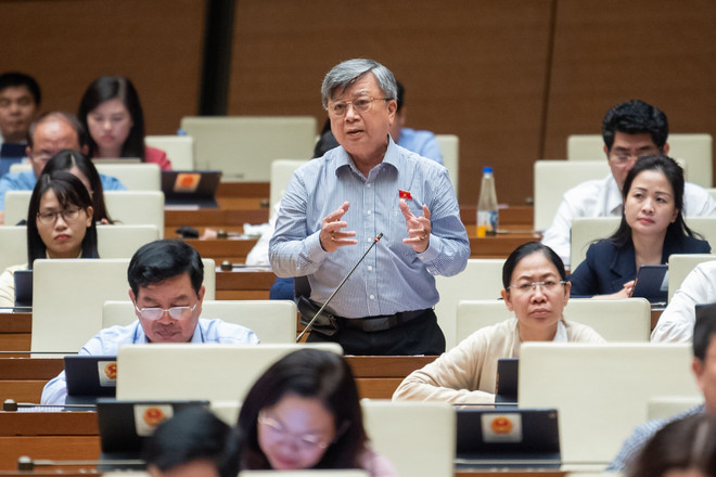 Đại biểu QH: "Phải thẩm tra dự án mới yên tâm bấm nút thông qua" ảnh 1