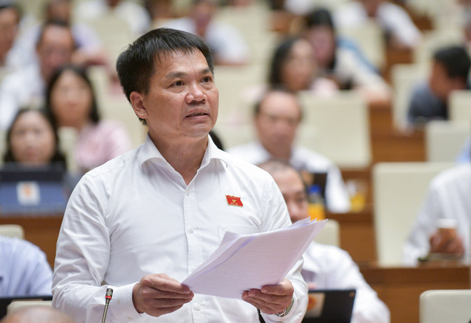 Đại biểu QH đề nghị chưa thông qua dự thảo Luật Đất đai sửa đổi ảnh 1