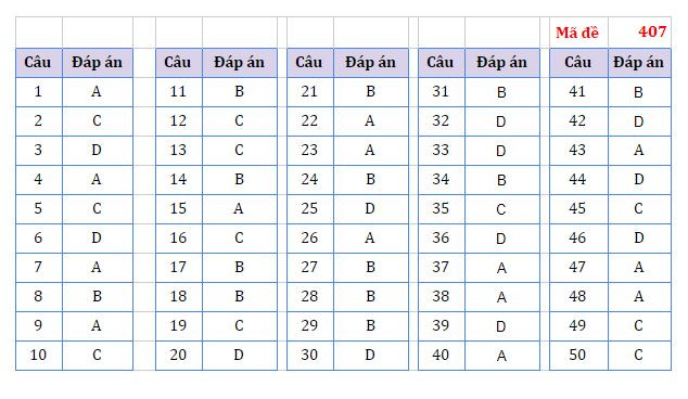 Gợi ý đáp án môn Ngoại ngữ Kỳ thi tốt nghiệp trung học phổ thông ảnh 5