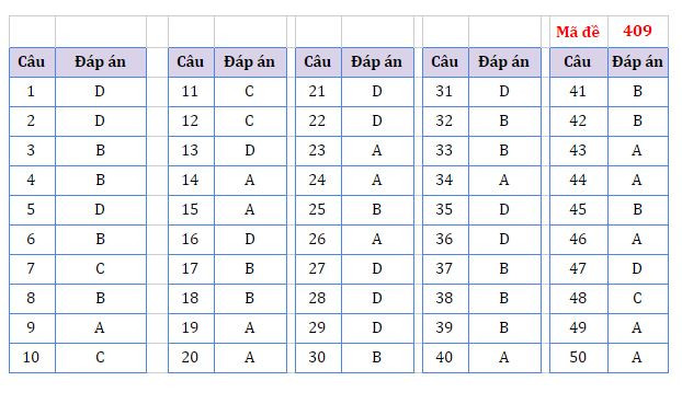 Gợi ý đáp án môn Ngoại ngữ Kỳ thi tốt nghiệp trung học phổ thông ảnh 4