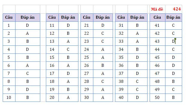 Gợi ý đáp án môn Ngoại ngữ Kỳ thi tốt nghiệp trung học phổ thông ảnh 2