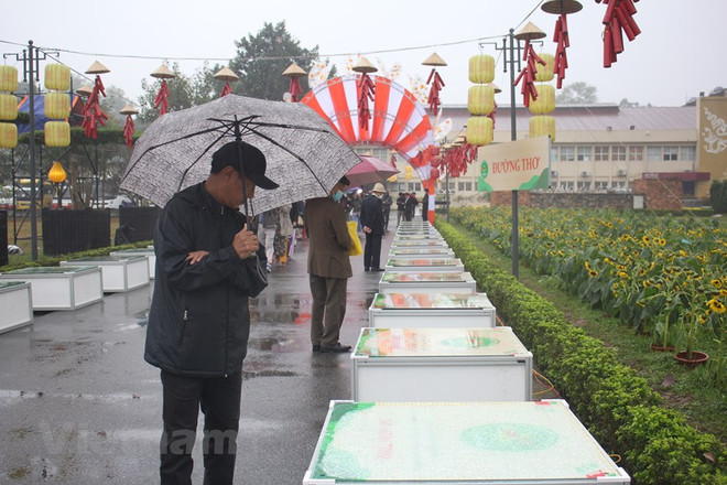 Ngày Thơ Việt Nam 2023: Màn trình diễn của thơ ca, âm nhạc, hội họa ảnh 1