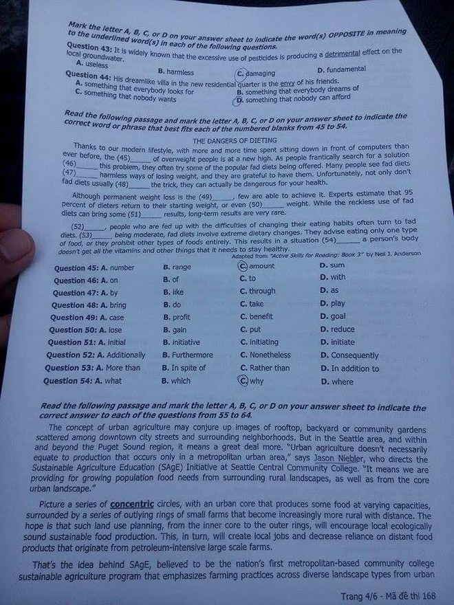 Đề thi môn Ngoại ngữ kỳ thi trung học phổ thông quốc gia ảnh 5