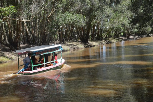Vườn quốc gia Tràm Chim chính thức trở thành di tích cấp quốc gia ảnh 1