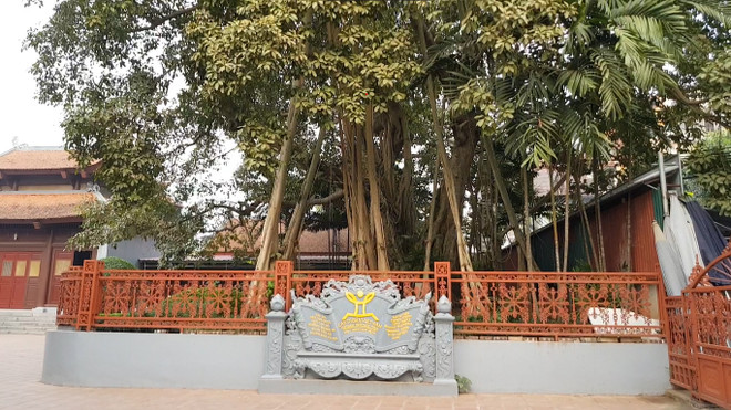 Tết Tân Sửu đến thăm đền ông trâu vàng cạnh hồ Tây ảnh 4