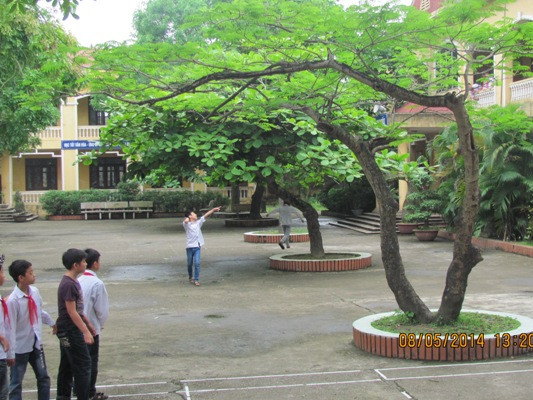 Vụ sa thải giáo viên ở Bắc Ninh: Cú sốc với các nhà trường ảnh 1