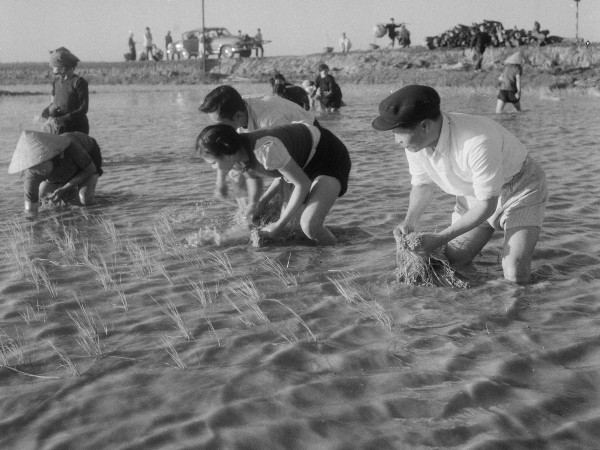 Góc nhìn khác về các vị Tướng Việt Nam trong thế kỷ 20 ảnh 1