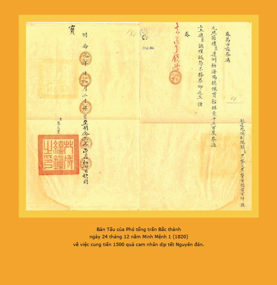 Khám phá Tết cổ truyền Việt Nam qua tài liệu lưu trữ từ thời Nguyễn ảnh 4