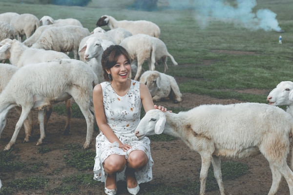 Phim Việt tháng Chín: Sự ‘lên ngôi’ của phim đề tài gia đình ảnh 4