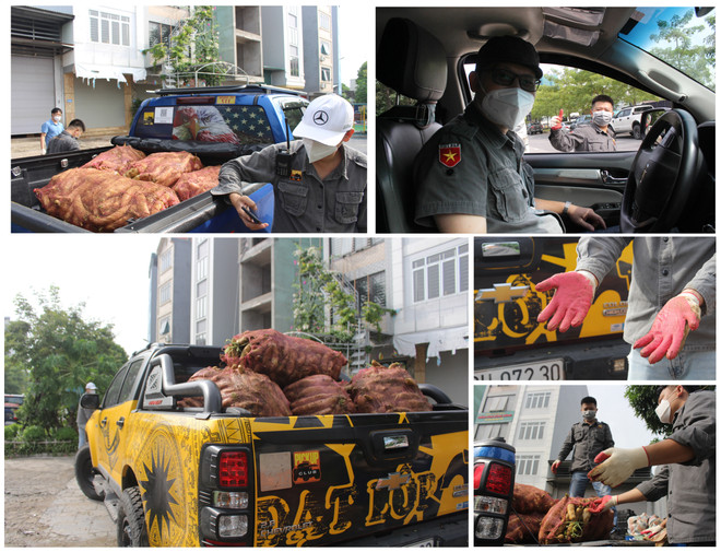 Chuyến vận tải củ cải Sơn La tặng Hà Nội. (Ảnh: Minh Anh/Vietnam+) Hà Nội: “Biệt đội bán tải” và những chuyến xe nghĩa tình mùa COVID ảnh 2