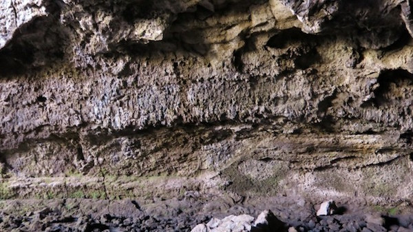 Bí mật dưới lòng hang: Phát hiện di cốt người tiền sử ở Tây Nguyên ảnh 4