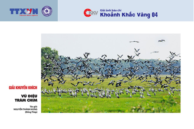 Giải ảnh báo chí “Khoảnh khắc Vàng 2016” vinh danh 22 tác phẩm ảnh 11