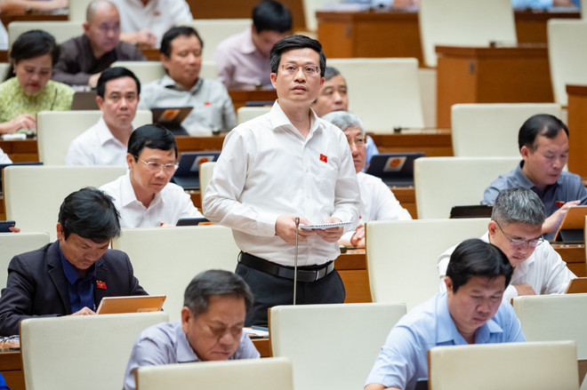 Đại biểu Quốc hội: Văn hóa không phải là 'cái bóng' của kinh tế ảnh 1