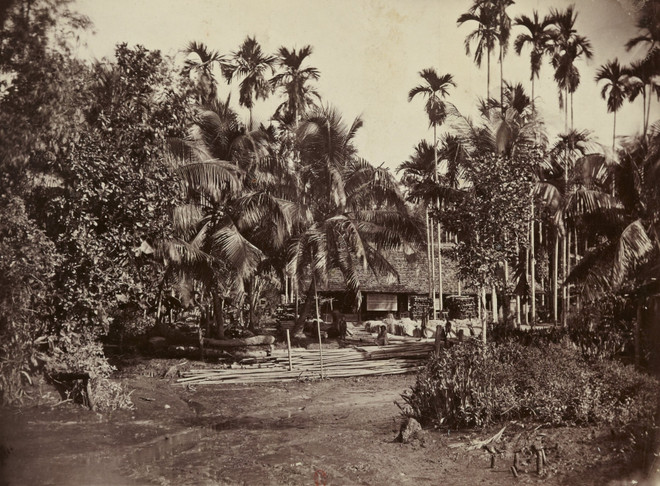 'Nam Kỳ và cư dân': Miền Nam thế kỷ 19 qua lăng kính bác sỹ người Pháp ảnh 1