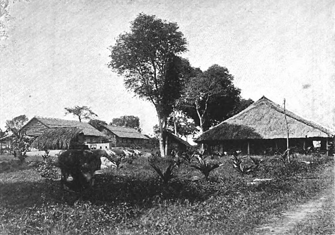 'Nam Kỳ và cư dân': Miền Nam thế kỷ 19 qua lăng kính bác sỹ người Pháp ảnh 5