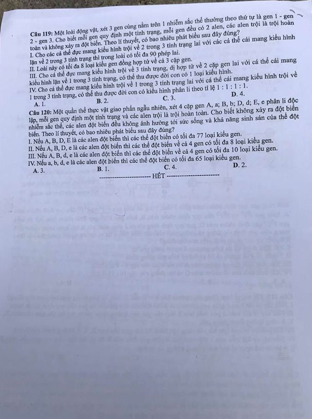 Đề thi chính thức môn Sinh học kỳ thi THPT quốc gia 2018 ảnh 7