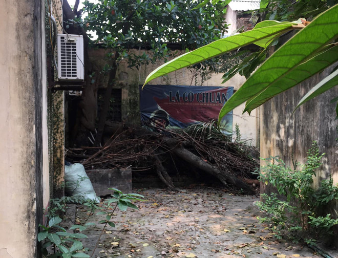 VIVASO xin ngừng thoái vốn để làm phim trở lại, nghệ sỹ phản đối ảnh 3