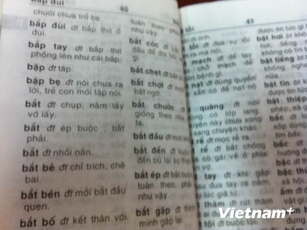 Cuốn từ điển với nhiều lỗi giải thích sai khiến dư luận xôn xao (Ảnh: Vietnam+) Từ điển Vũ Chất: Nhà Xuất bản xin lỗi, Cục nói sách mạo danh? ảnh 1