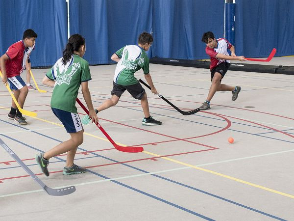 Cơ hội nhận học bổng toàn phần vào Trường quốc tế Liên hợp quốc Hà Nội ảnh 1