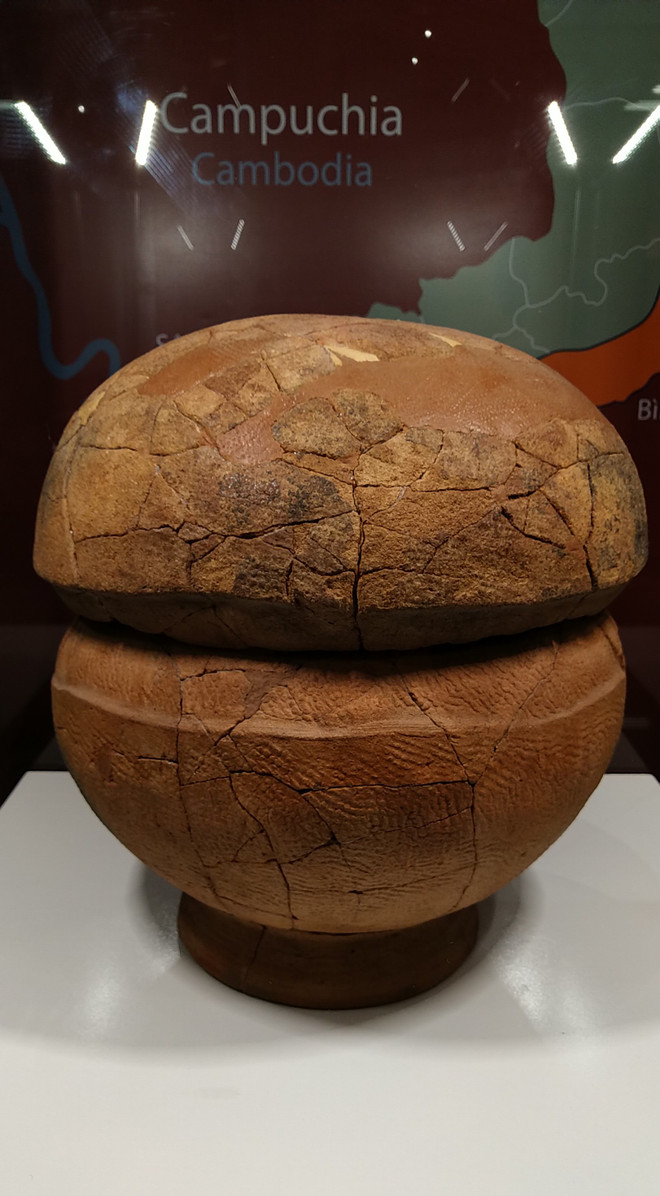 Hành trình khám phá Bãi Cọi, nơi giao thoa của nhiều nền văn hóa ảnh 3