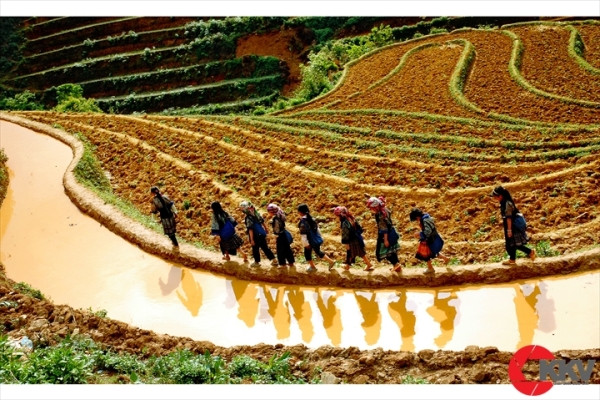 “Khoảnh khắc vàng 2016”: Sân chơi chuyên nghiệp cho ảnh báo chí ảnh 1