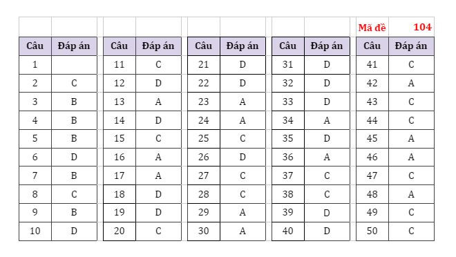 Gợi ý đáp án các mã đề thi môn Toán Kỳ thi tốt nghiệp THPT 2022 ảnh 3