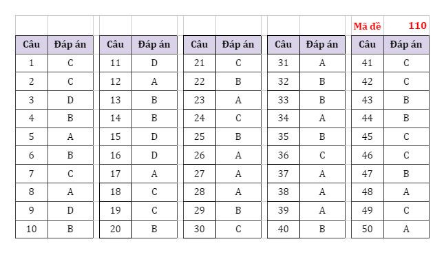 Gợi ý đáp án các mã đề thi môn Toán Kỳ thi tốt nghiệp THPT 2022 ảnh 8