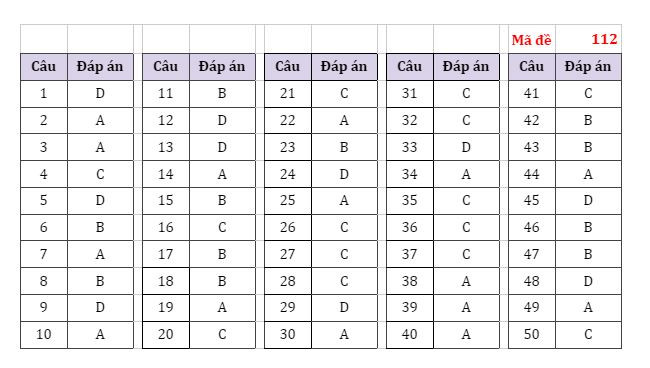 Gợi ý đáp án các mã đề thi môn Toán Kỳ thi tốt nghiệp THPT 2022 ảnh 4
